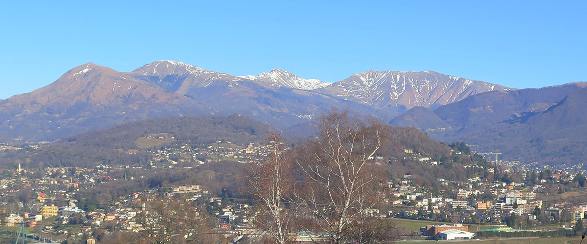 Ci trovi sulla collina ovest di Lugano, in una zona immersa nel verde